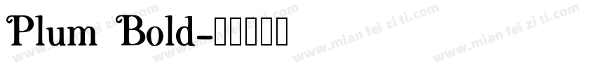 Plum Bold字体转换